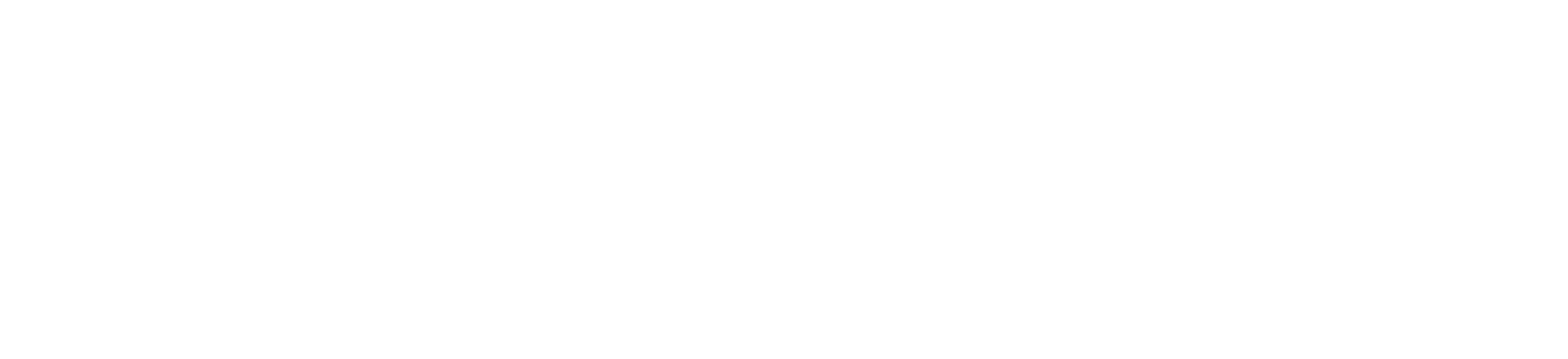 Next Edge